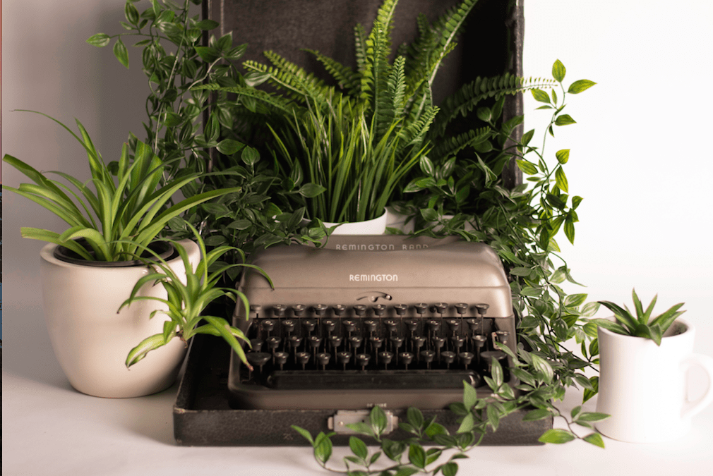 typewriter with plants